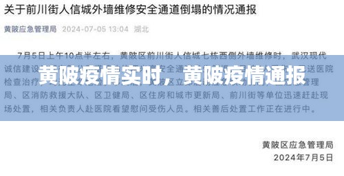 黄陂疫情实时,黄陂疫情通报