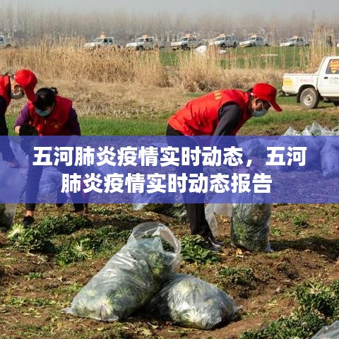 五河肺炎疫情实时动态,五河肺炎疫情实时动态报告