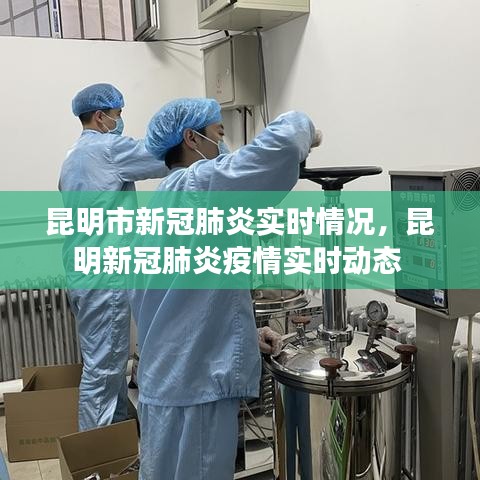 昆明市新冠肺炎实时情况,昆明新冠肺炎疫情实时动态