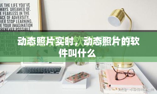 动态照片实时,动态照片的软件叫什么
