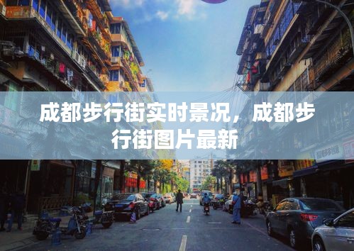 成都步行街实时景况,成都步行街图片最新