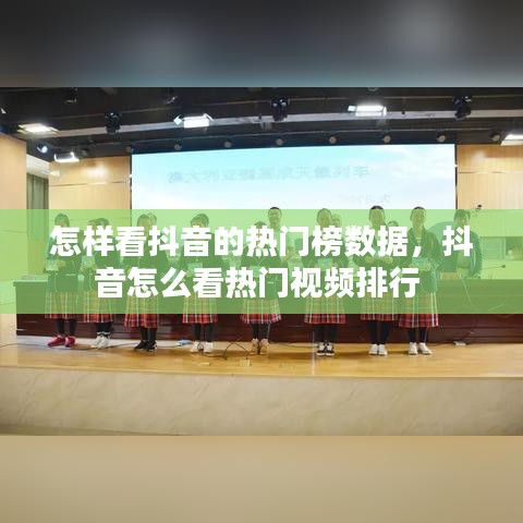 怎样看抖音的热门榜数据,抖音怎么看热门视频排行