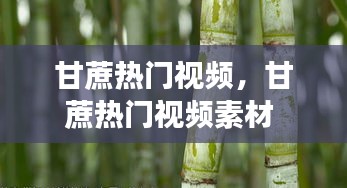 甘蔗热门视频,甘蔗热门视频素材