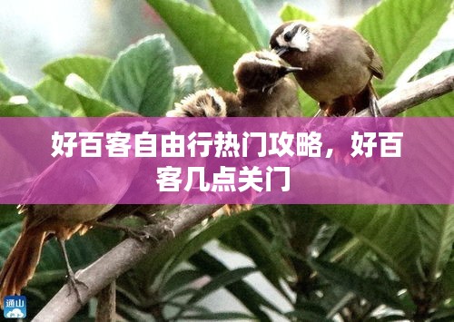 好百客自由行热门攻略,好百客几点关门