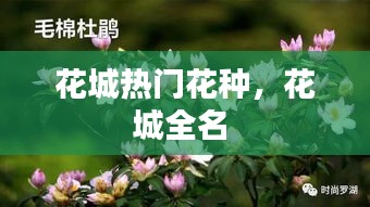 花城热门花种,花城全名