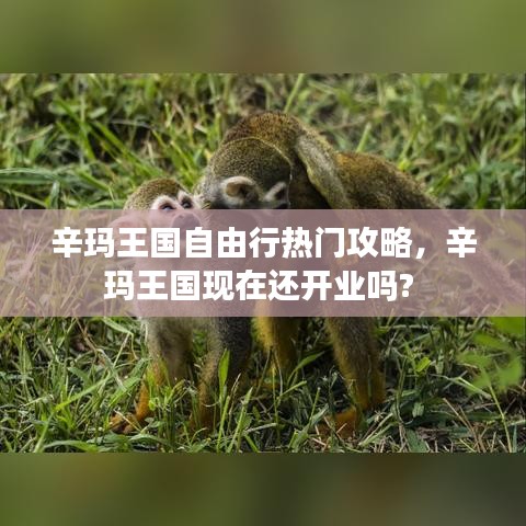 辛玛王国自由行热门攻略,辛玛王国现在还开业吗?