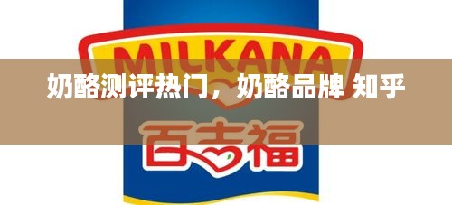 奶酪测评热门,奶酪品牌 知乎
