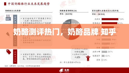 奶酪测评热门,奶酪品牌 知乎