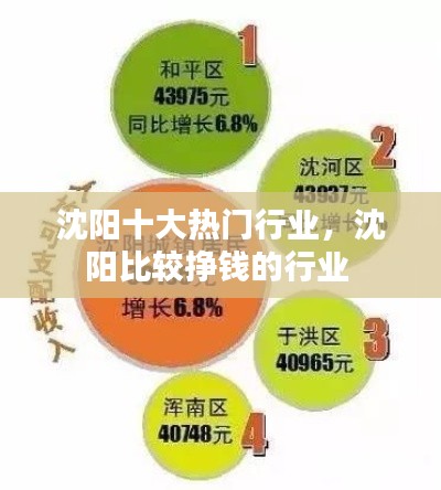 沈阳十大热门行业,沈阳比较挣钱的行业
