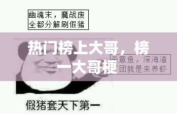 热门榜上大哥,榜一大哥梗