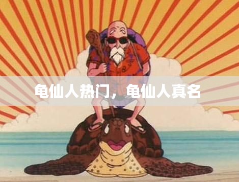 龟仙人热门,龟仙人真名