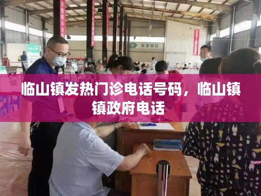 临山镇发热门诊电话号码,临山镇镇政府电话