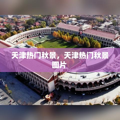 天津热门秋景,天津热门秋景图片
