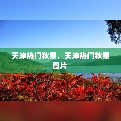 天津热门秋景,天津热门秋景图片