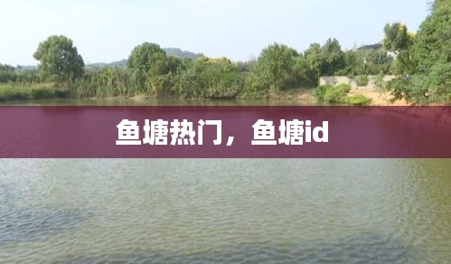 鱼塘热门,鱼塘id