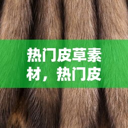 热门皮草素材,热门皮草素材视频