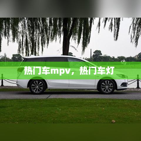 热门车mpv,热门车灯