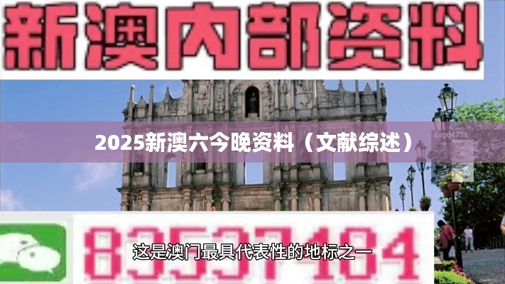 2025新澳六今晚资料(文献综述)