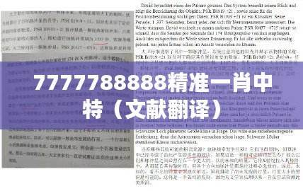 7777788888精准一肖中特(文献翻译)