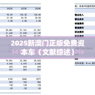 2025新澳门正版免费资本车(文献综述)