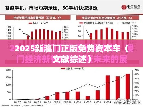 2025新澳门正版免费资本车(文献综述)