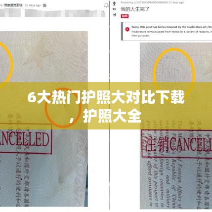 6大热门护照大对比下载,护照大全