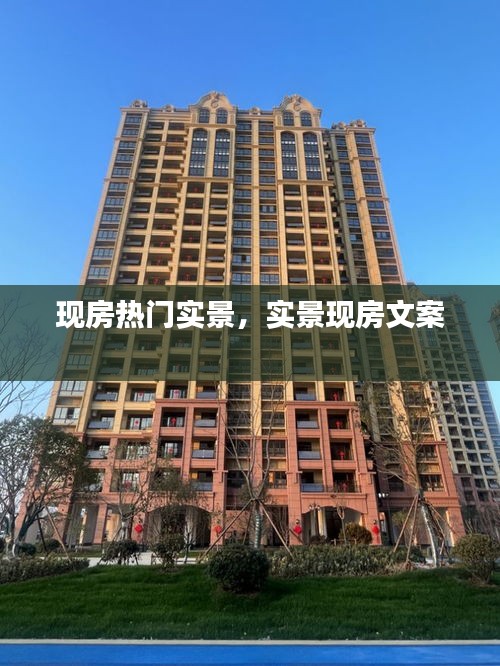 现房热门实景,实景现房文案