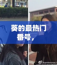 葵的最热门番号,