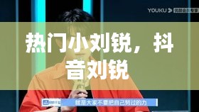 热门小刘锐,抖音刘锐