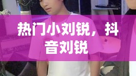 热门小刘锐,抖音刘锐