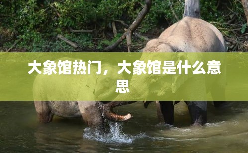 大象馆热门,大象馆是什么意思