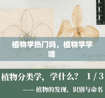 植物学热门吗,植物学学啥