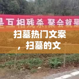 扫墓热门文案,扫墓的文