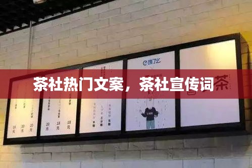 茶社热门文案,茶社宣传词