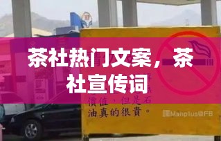 茶社热门文案,茶社宣传词