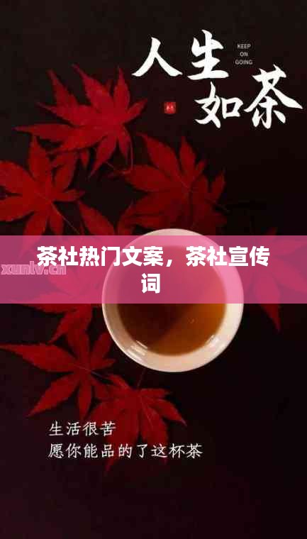 茶社热门文案,茶社宣传词