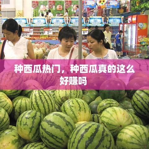 种西瓜热门,种西瓜真的这么好赚吗