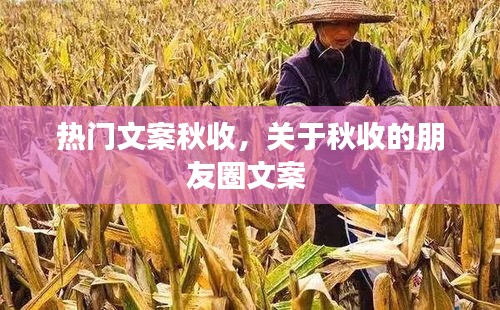 热门文案秋收,关于秋收的朋友圈文案