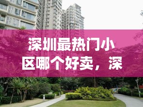 深圳最热门小区哪个好卖,深圳最好卖的房子是哪种户型