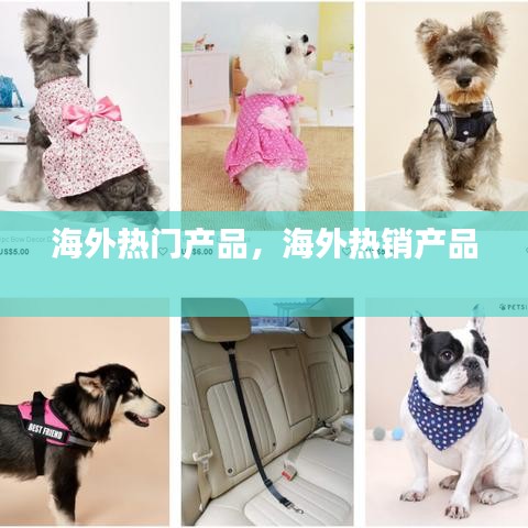 海外热门产品,海外热销产品
