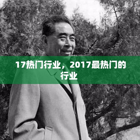 17热门行业,2017最热门的行业