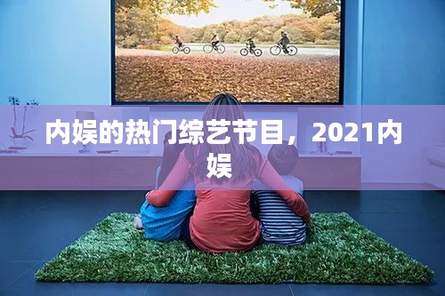 内娱的热门综艺节目,2021内娱