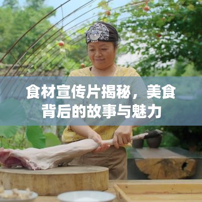 食材宣传片揭秘,美食背后的故事与魅力