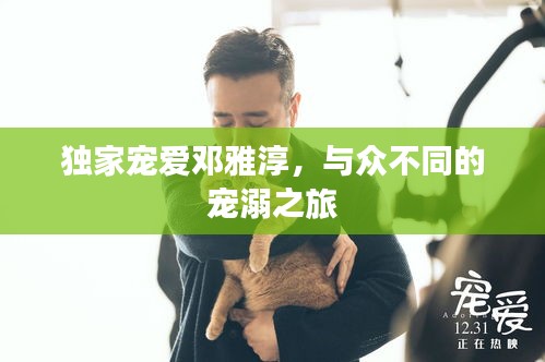 独家宠爱邓雅淳,与众不同的宠溺之旅