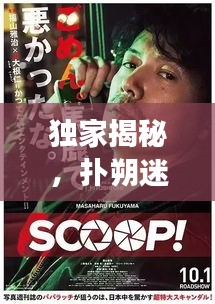 独家揭秘,扑朔迷离的情感密爱绯闻旅程