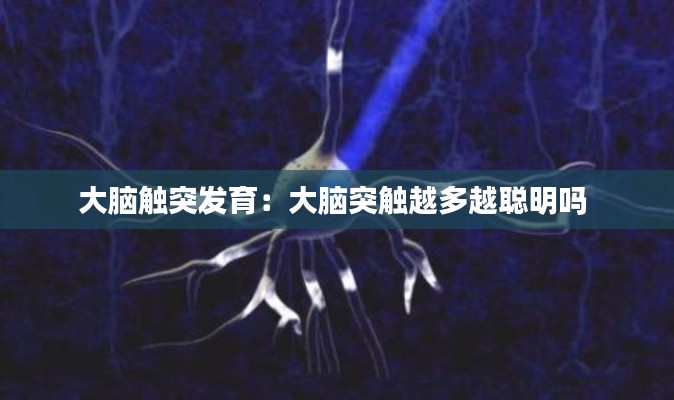 大脑触突发育:大脑突触越多越聪明吗