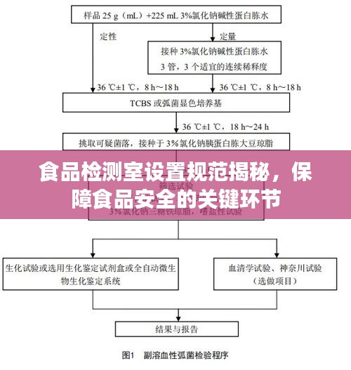食品检测室设置规范揭秘,保障食品安全的关键环节
