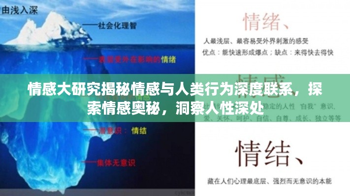 情感大研究揭秘情感与人类行为深度联系,探索情感奥秘,洞察人性深处