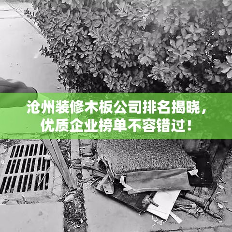沧州装修木板公司排名揭晓,优质企业榜单不容错过!