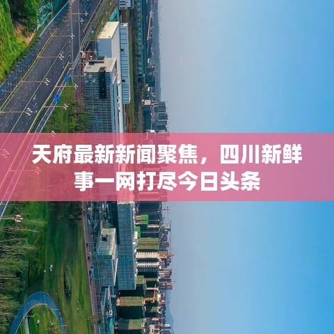 天府最新新闻聚焦,四川新鲜事一网打尽今日头条